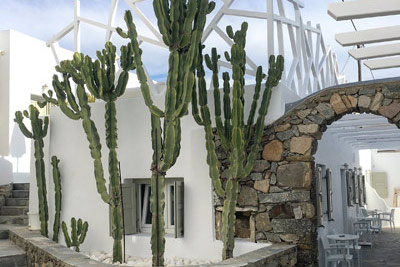 Damianos Hotel in Mykonos Town